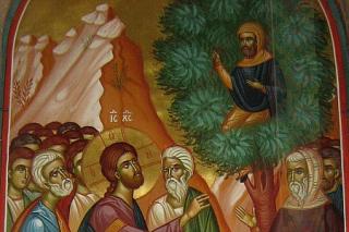 Sfântul Apostol Zaheu