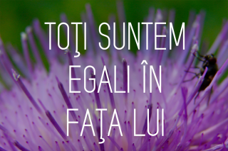 Toți suntem egali în fața lui Dumnezeu