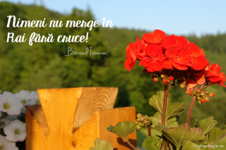 Nimeni nu merge în Rai fără cruce!