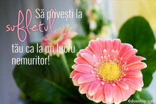 Să privești la sufletul tău ca la un lucru nemuritor!
