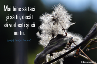 Mai bine să taci și să fii, decât să vorbești și să nu fii