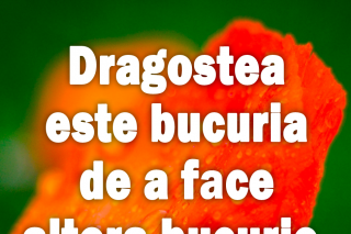 Dragostea este bucuria de a face altora bucurie