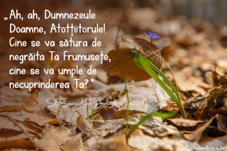 Doamne, cine se va sătura de negrăita Ta Frumusețe?