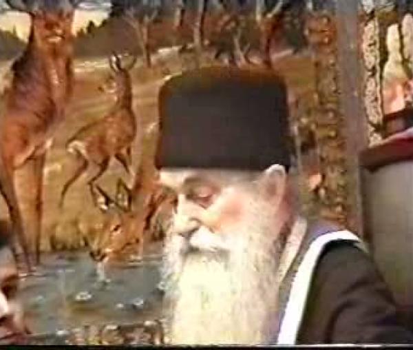 Pr. Arsenie Papacioc – Sfaturi duhovnicești