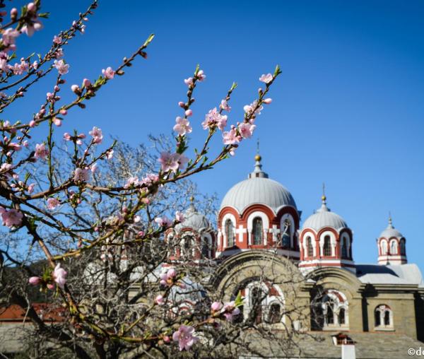 O călătorie în Muntele Athos