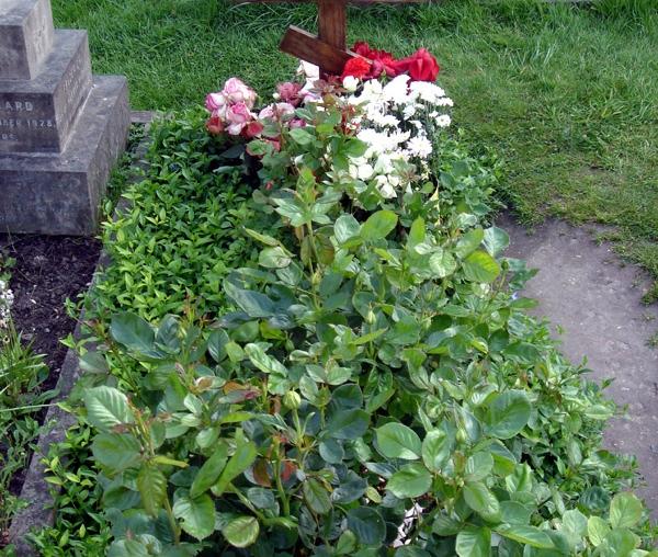 Mormântul mitropolitului Antonie de Suroj din cimitirul Brompton, Londra