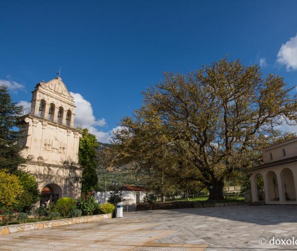 Clopotniţa mănăstirii, biserica veche şi unul din platanii sădiţi de Sfântul Gherasim