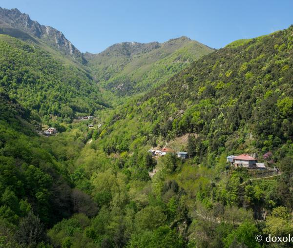 (Foto) Schitul Sfântul Dimitrie - Lacu, Athos