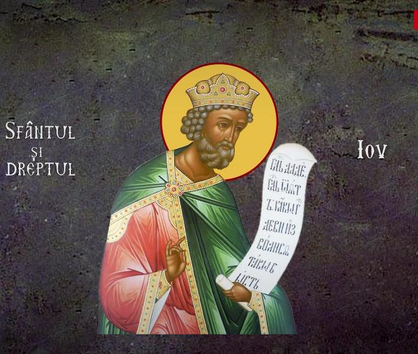 Sfântul și Dreptul Iov, mult răbdătorul