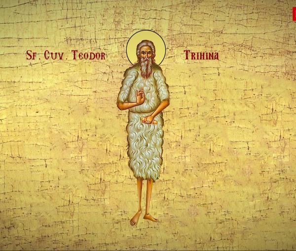 Sfântul Cuvios Teodor Trihina