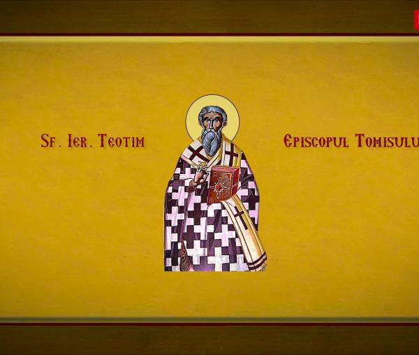 Sfântul Ierarh Teotim, Episcopul Tomisului