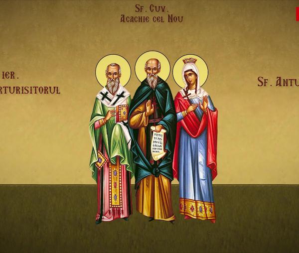 Sfântul Ierarh Vasile Mărturisitorul, Episcopul Pariei