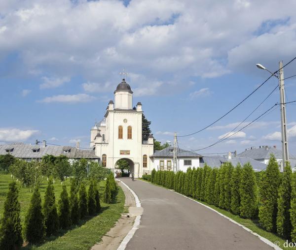Mănăstirea Pasărea - un monument istoric la marginea Bucureștiului (galerie FOTO)
