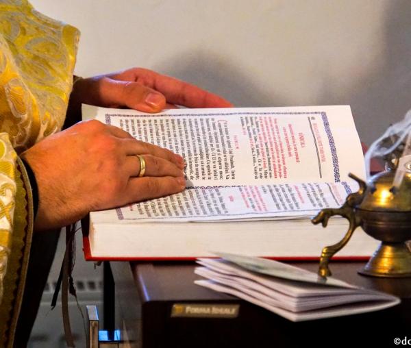 (AUDIO) „Sfinţii Apostoli Petru şi Pavel au fost iubiţi de ucenici şi de oamenii care ascultau cuvântul de învăţătură” - Arhimandritul Nichifor Horia