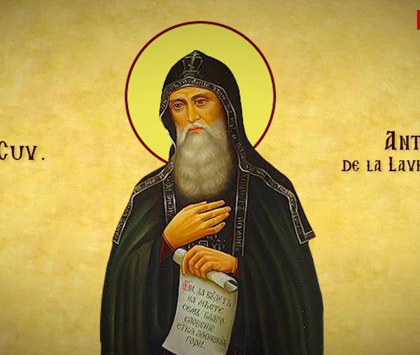 Troparul Sfântului Cuvios Antonie de la Lavra Pecerska