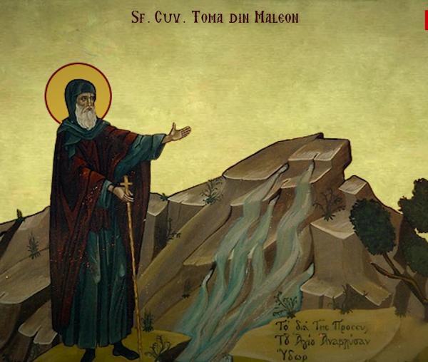 Troparul Sfântului Cuvios Toma din Maleon