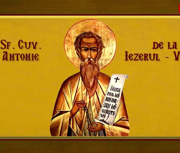 Troparul Sfântului Cuvios Antonie de la Iezerul-Vâlcea