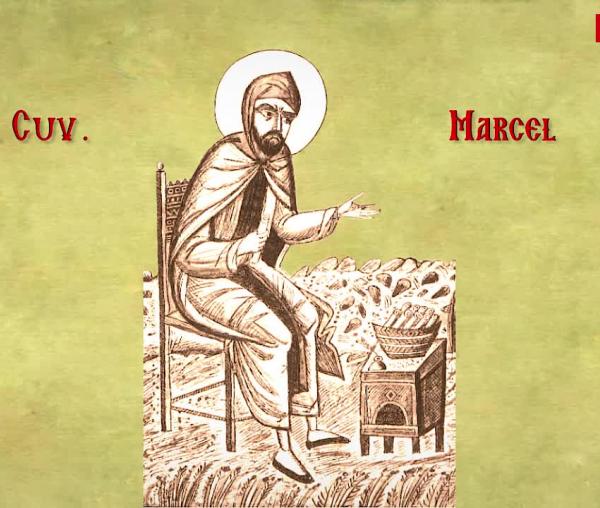 Troparul Sfântului Cuvios Marcel