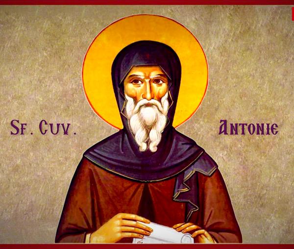 Troparul Sfântului Cuvios Antonie cel Mare