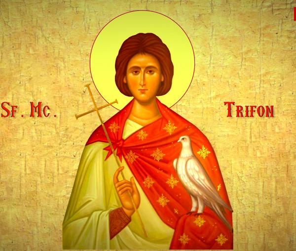 Troparul Sfântului Mucenic Trifon