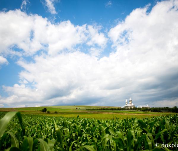(Foto) Bodești - prima mănăstire închinată Sfântului Varlaam, Mitropolitul Moldovei