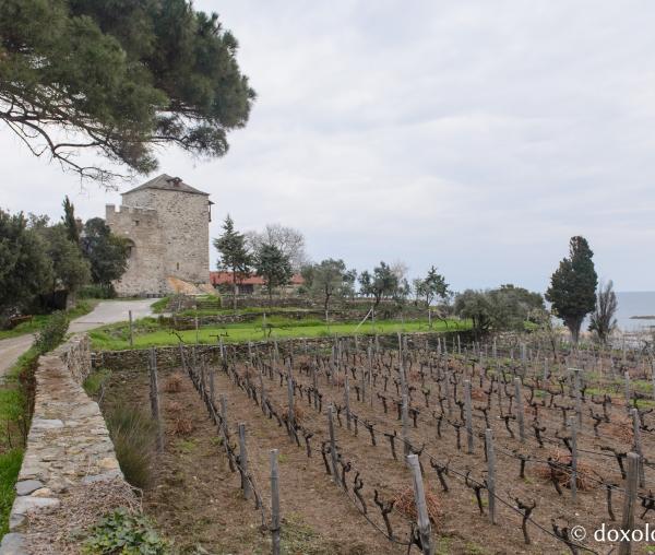 Mylopotamos – cea mai vestită podgorie athonită