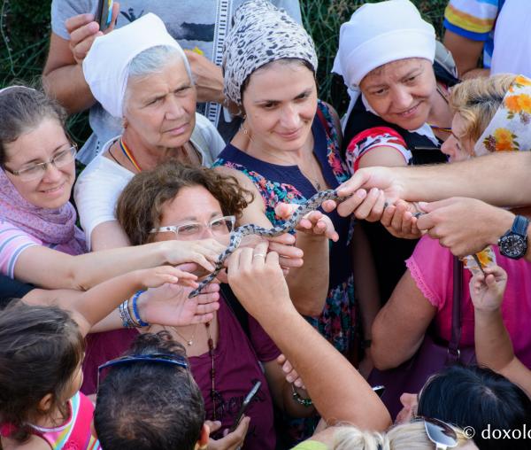 (Video) Șerpii din Kefalonia – o minune deosebită ce se săvârşeşte anual, în vremea postului Adormirii Maicii Domnului