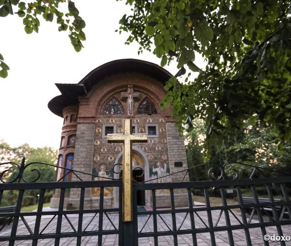 Tineri ortodocși din toată lumea, uniți în rugăciune (galerie FOTO)
