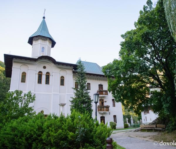 Mănăstirea Turnu