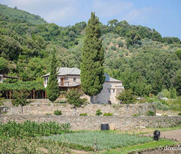 (Foto) Clipe de zăbavă în cimitirul Mănăstirii Caracalu