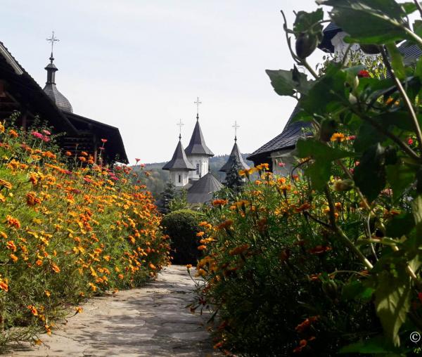 (Foto) Toamna la Mănăstirea Sihăstria