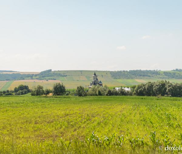Mănăstirea Parincea (galerie FOTO)