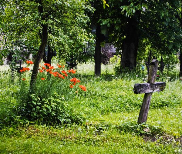 (Video) Care este rațiunea pentru care spun că moartea este prietena mea - Arhim. Hrisostom Rădășanu