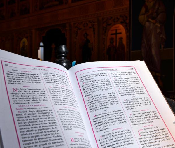 (Video) Trebuie urmată mereu rânduiala liturgică exact ca în cărțile de cult?