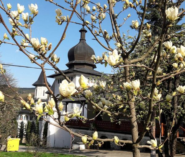 (Foto) Primăvară la Mănăstirea Sihăstria