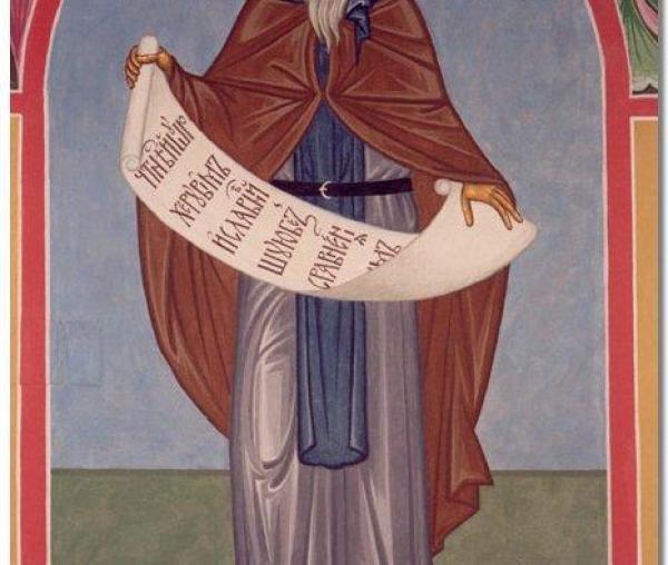 Sfântul Ierarh Cosma, Episcopul Maiumei