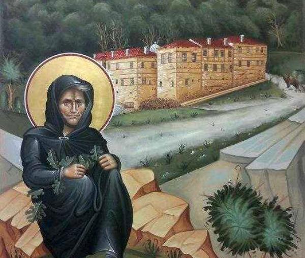 Sfânta Cuvioasă Sofia, asceta din Kleisoura
