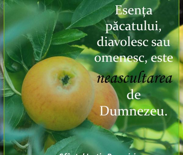 Esența păcatului, diavolesc sau omenesc, este neascultarea de Dumnezeu