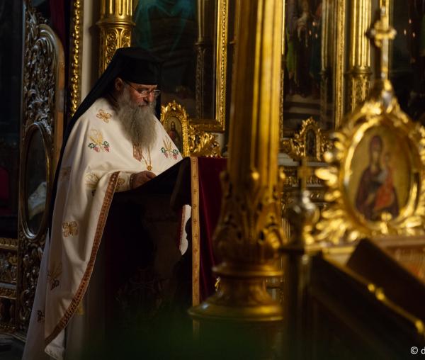 (Video) IPS Teofan: „Nașterea lui Hristos - sensul vieții noastre” - Scrisoare Pastorală