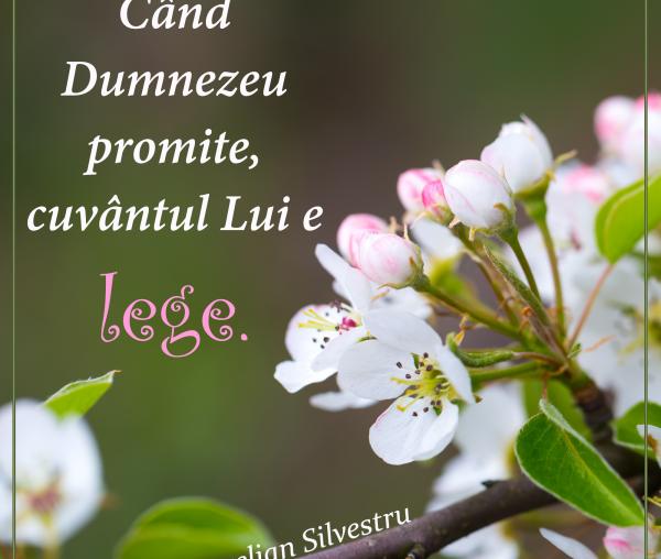 Când Dumnezeu promite, cuvântul Lui e lege
