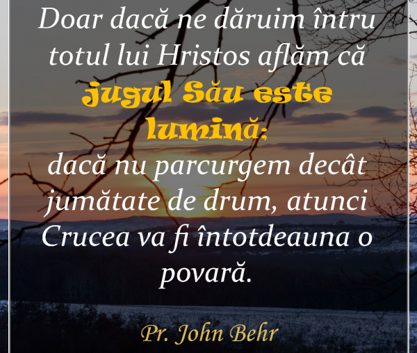 Doar dacă ne dăruim întru totul lui Hristos aflăm că jugul Său este lumină