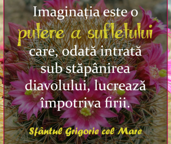 Imaginația este o putere a sufletului care, odată intrată sub stăpânirea diavolului, lucrează împotriva firii