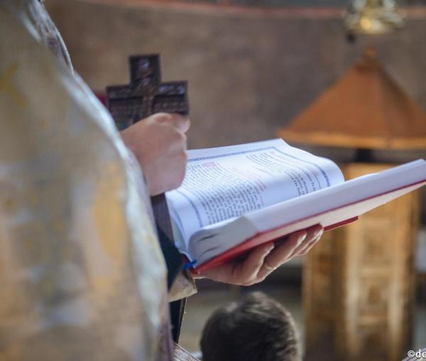 „Niciun alt preot nu poate schimba un canon dat de duhovnic.” (Pr. Patriciu Vlaicu)