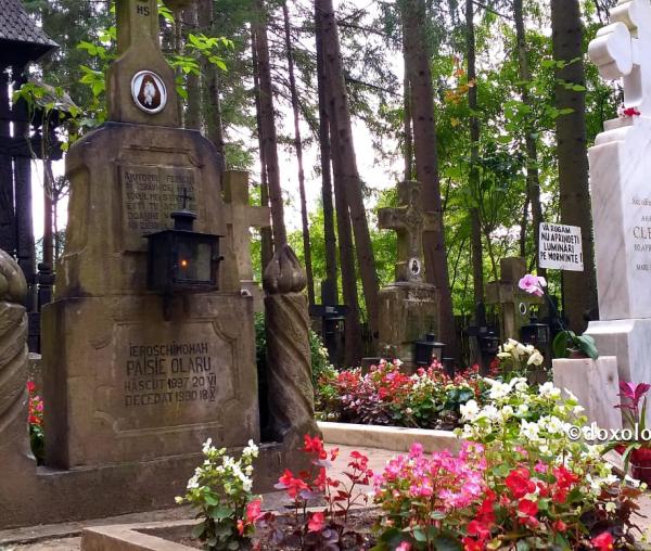(Video) „Grădina cu sfinţi” – cimitirul Mănăstirii Sihăstria
