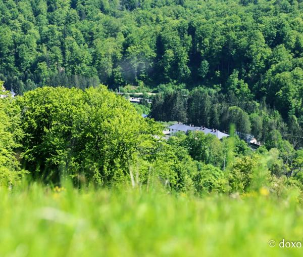 (Foto) Raiul de la Mănăstirea Sihăstria