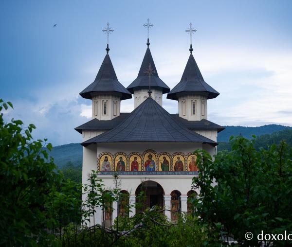 (Foto) Vizită la stupina Mănăstirii Sihăstria