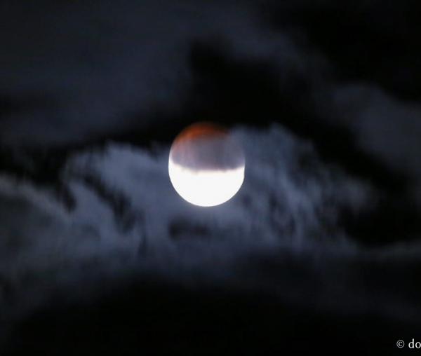 (Foto) Mănăstirea Sihăstria – zile de vară și eclipsă parțială de Lună