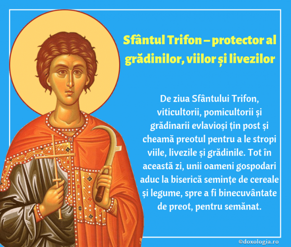 Sfântul Trifon – protector al grădinilor, viilor și livezilor