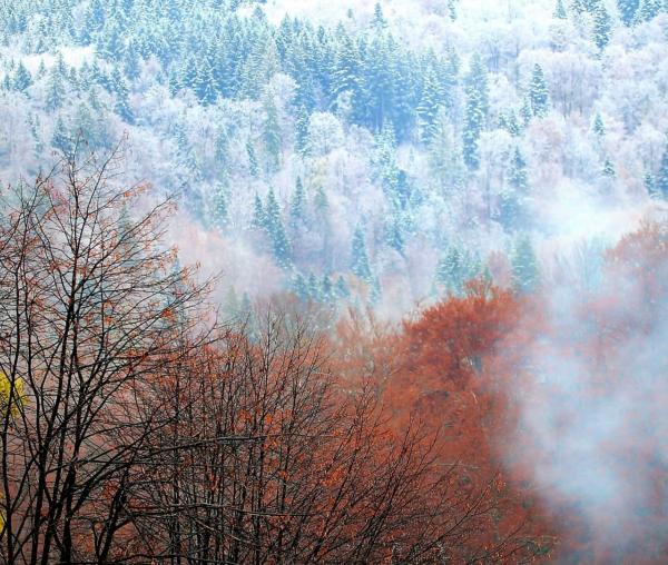 (Foto) Sfârșit friguros de octombrie la Mănăstirea Sihăstria