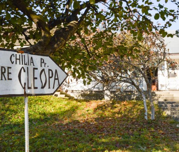 (Video) Pelerin la chilia Părintelui Cleopa de la Sihăstria